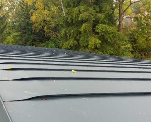 Blechdach_Doppelstehfalz_2